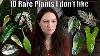 10 Rare Plants I Don T Really Like And The Reasons Why