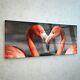 125x50cm Wall Art Glass Print Picture Animals Photo Flamingos Birds Love P39627