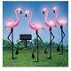 4pc Pink Solar Flamingos 21 Tall (col)