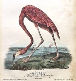 Antique Audubon Octavo Litho Print, No 75 Plate 375 Adult Male American Flamingo