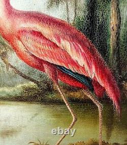 Antique Style Oil Painting Portrait Pink Flamingo Bird in a Landscape Signed O/C