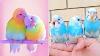 Baby Animals Funny Parrots And Cute Birds Compilation 2020 Loros Adorables Recopilaci N 6
