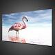 Beautiful Pink Flamingo Bird In The Sea Canvas Print Wall Art Picture Photo