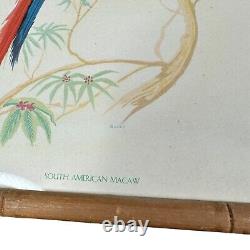 Carved Bamboo Framed Tropical Birds Macaw Parakeets Pink Flamingo Original Print