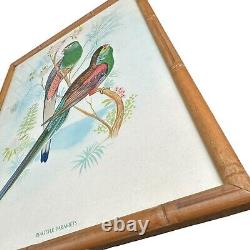 Carved Bamboo Framed Tropical Birds Macaw Parakeets Pink Flamingo Original Print