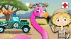 Dr Poppy Helps Uma The Flamingo U0026 More Animals For Kids Toddler Fun Learning Animal Videos