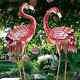 Flamingo Garden Statues And Sculptures, Metal Birds Yard Art Outdoor Pink