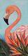 Flamingo By Richard Sierlecki