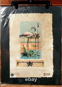 Flamingos, The Broadway Hollywood Star, AP. Print 22x 15x Signed Fairchild Paris