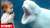Funny Kids At The Aquarium Girl Spooked By A Beluga Whale