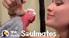 Galah Bird Wants To Be Just Like His Human Mom The Dodo Soulmates