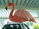 Giant Jumbo Huge (stand Up) Plush Stuffed Flamingo Bird 45