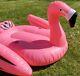 Giant Pink Flamingo Inflatable Lazy River Drinking Floating Water Pool Raft