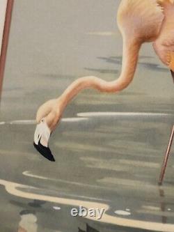 Large Print FLAMINGO Roger Tory Peterson Matted