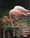 Original Oil Painting Flamingo Birds Reflections 14 X 18 Signed By Artist