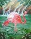 Original Painting Canvas Flamingo Bird Nature Contemporary Art Realism