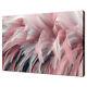 Pink Coral Flamingo Bird Feather Canvas Wall Art Print Picture Ready To Hang