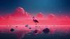 Pink Flamingo 6 Hours 4k Satisfying Video Relaxing Music Screensaver For Meditation