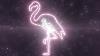 Pink Flamingo Bird Animals Shape Outline Glowing Neon Lights Tunnel 4k Background Vj Video Effect