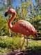 Pink Flamingo Bird Statue (choose Your Favorite)