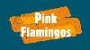 Pink Flamingo Birds Flamingos Bird 2020 The Facts Of Flamingo Flamingo Feeding Social Bird Flamingo