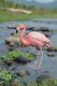 Pink Flamingo Decor Lawn Yard Garden Statue Home Decoration Display By Water
