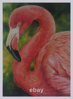 Pink Flamingo Marsh Nautical Bird Realism Pastel painting artist D. Dellinger