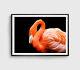 Pink Flamingos Print, Birds Wall Art, Nature Framed Animal Wall Art, Natural