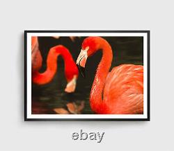 Pink Flamingos Print, Birds Wall Art, Pond Framed Animal Wall Art, Natural