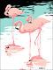 Pink Flamingos Tropical Birds 20x16 Giclee Print, Florida, Pop Art, Retro