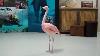 Pinky The Flamingo Dancing