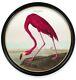 Premium Botanical Antique Exotic Bird Pink Flamingo Large Round Framed Print Art