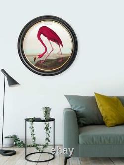 Premium Botanical Antique Exotic Bird Pink Flamingo Small Round Framed Print Art