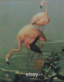 ROGER TORY PETERSON Original Flamingo Bird Print
