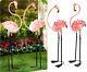 Set Of Two (2) Flamboyant Flamingo Garden Stakes Life Sized Iron Nib