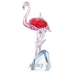 Swarovski Crystal'Flamingo' Figurine #5302529