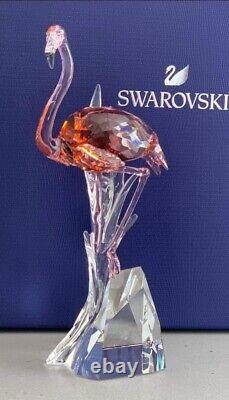 Swarovski Flamingo #5302529 Crystal Figurine New in Original Packaging
