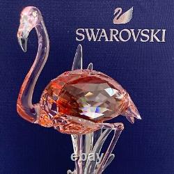 Swarovski Flamingo #5302529 Crystal Figurine New in Original Packaging