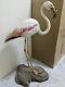 Taxidermy Mounts Real Stuffed Chilean Pink Flamingo Bird Stand Art Trophy 4 Sale
