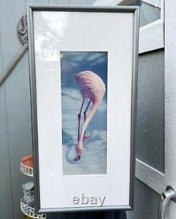 Vintage Flamingo Photograph Photo Signed Bird Tropical Framed