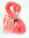 Watercolor Original Handmade Flamingo Bird Painting By Artist Liz Altin