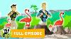 Wild Kratts Mystery Of The Flamingo S Pink Pbs Kids
