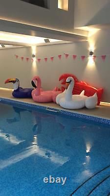 XX Sunnylife Adult Flamingo Luxe Ride-on Pool Float Bird Inflatable Blow Up Sea